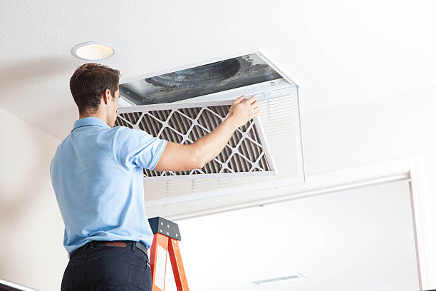 Best HVAC Cleaning Services  in Oronoco, MN